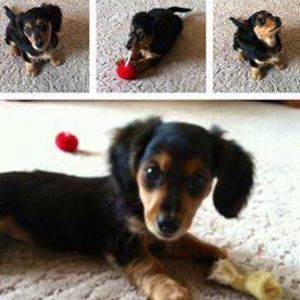 Meet your Posher, Jennifer